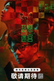 Лабиринт сверхчувственных ощущений