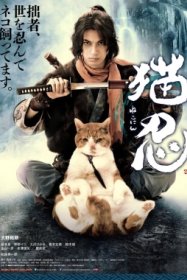Ниндзя и кот