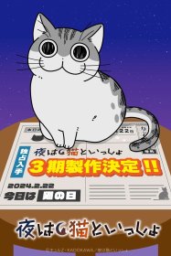 Вечера с кошкой [ТВ-3]