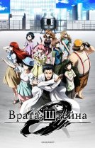 Врата Штейна 0