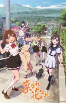 Нарэнарэ [ТВ-1]