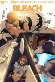 Блич: Тысячелетняя кровавая война — Бедствие
