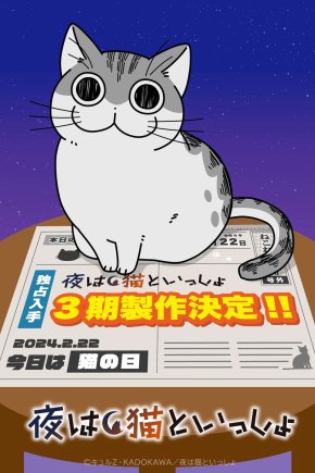 Вечера с кошкой [ТВ-3]